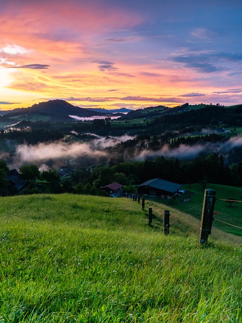 landscape, landscaping