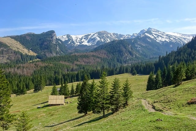 landscape, landscaping