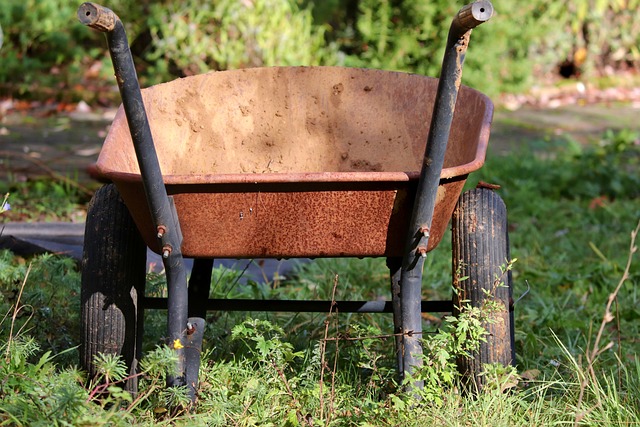 Eco-Friendly Xeriscapes with Succulents and Cacti: Your Guide to Low-Water Gardening
