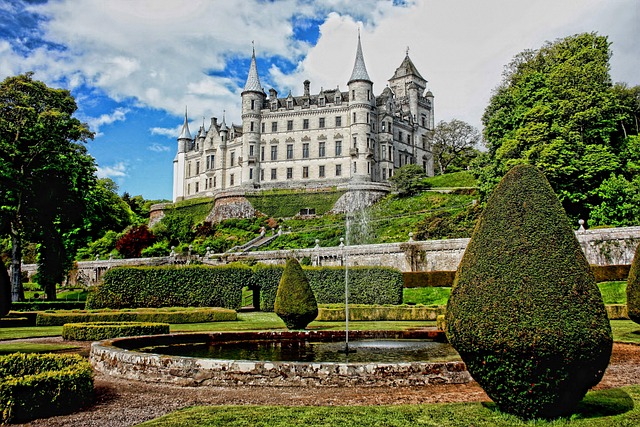 landscaping, garden