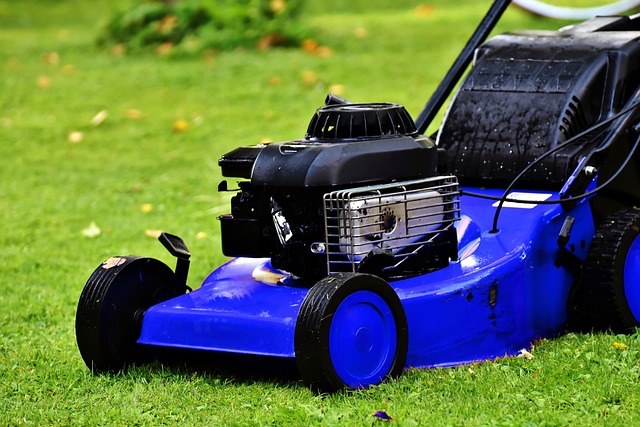 lawn