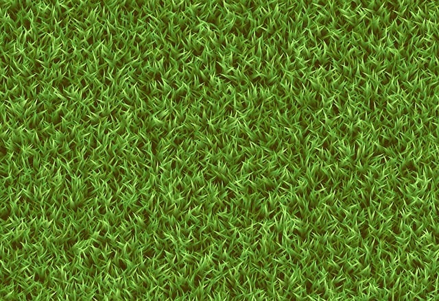 lawn