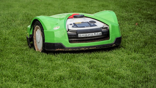 lawn