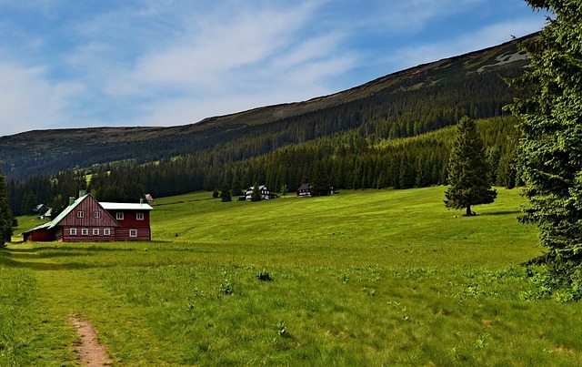 lawn