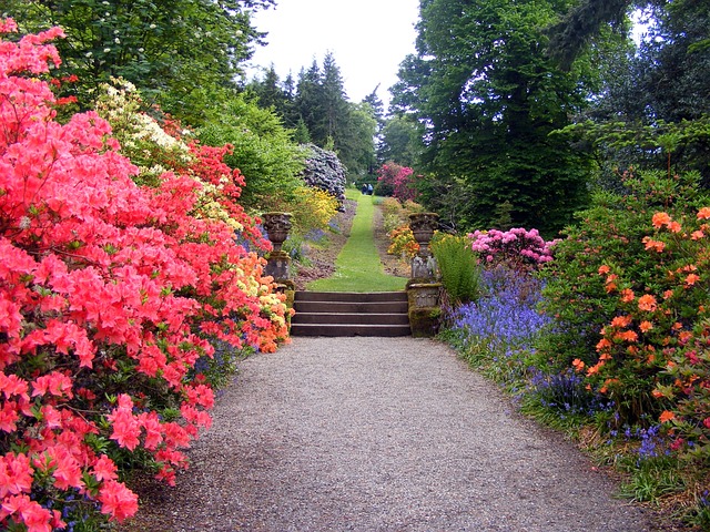 lawn
