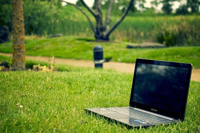 lawn