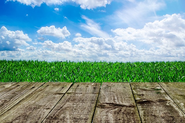 lawn