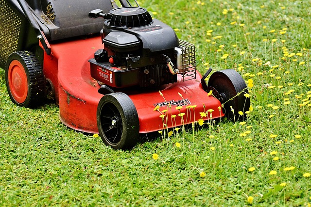 lawn