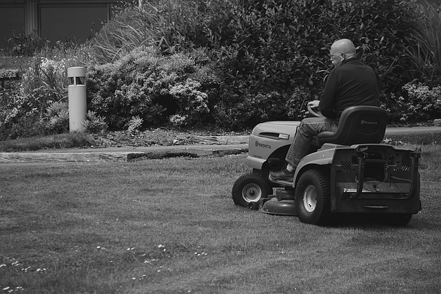 lawn