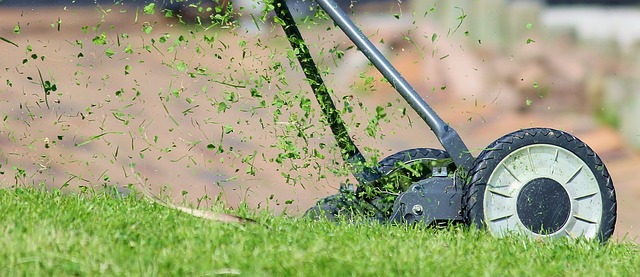 Maximize Your Yard’s Potential with Pro Mowing Services for Personalized Lawn Care and Landscaping