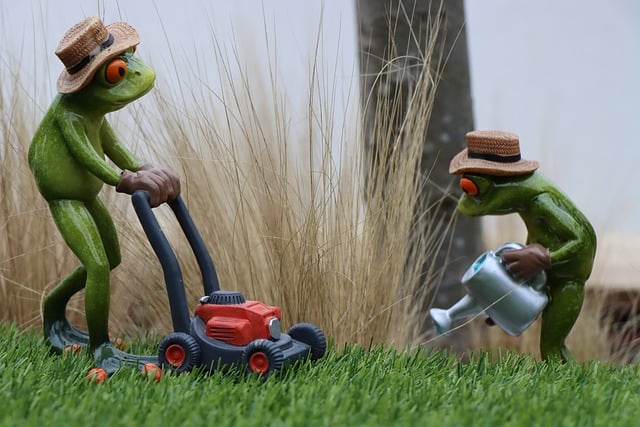 lawn-care-640x480-64730054.jpeg