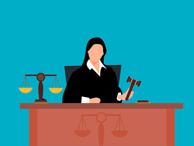 lawyer