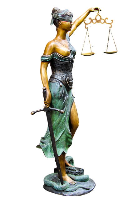 lawyer, courtroom, law