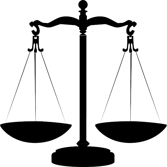 license, law, lawyer
