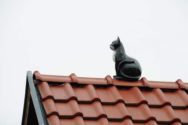 Economical Excellence: Affordable Residential Roofing Options for Homeowners