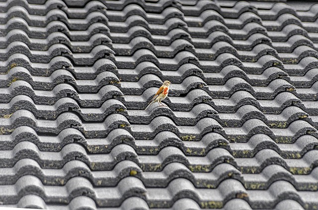 Green Roof Revolution: Pioneering Sustainable and Energy-Efficient Solutions for Urban Environments