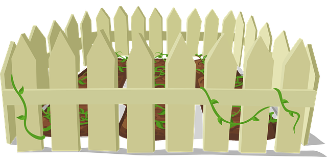 npressfetimg-1084.png