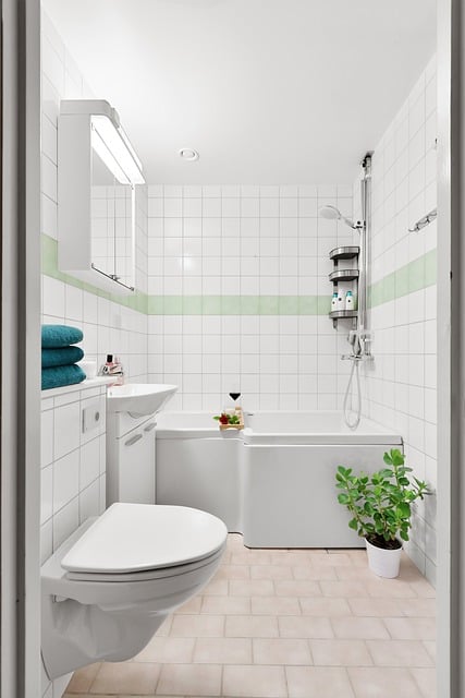 Modern Twists: Eco-Conscious and Aesthetic Bathroom Tile Ideas for Every Space