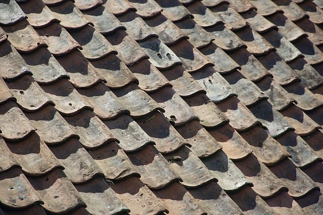 Green Roofs: Harnessing Sustainable Materials for Eco-Friendly House Roofs