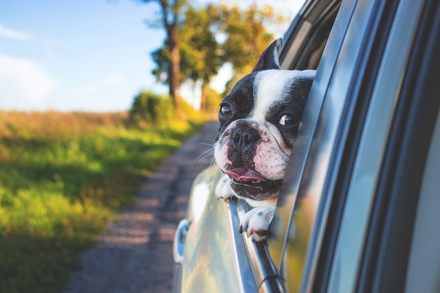 Seasonal Window Care: Maintaining Your Home’s Efficacy Year-Round