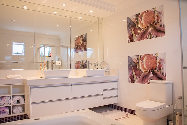 Modernizing Your Space: The Intersection of Vanity and Function with Contemporary Bathroom Faucets and Showers