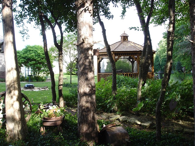 Enhancing Small Outdoor Spaces for Maximum Privacy: Fences, Screens, and Plant Choices