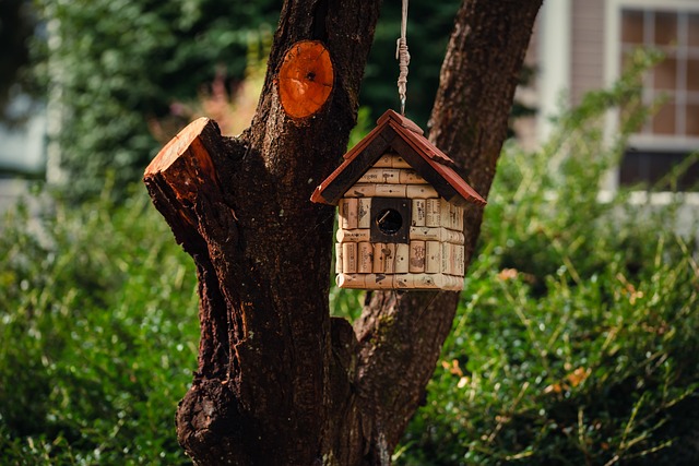 Seasonal Eco-Wisdom: Crafting a Living Backyard Decor Year-Round
