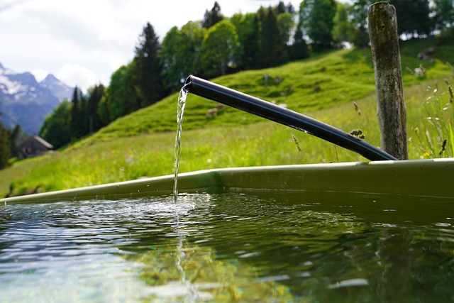 Elevate Your Outdoor Retreat with Decorative Garden Fountains and Modern Water Feature Designs