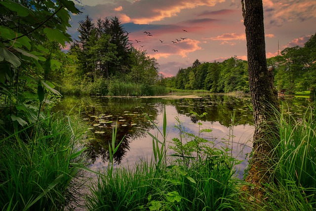 Tailored Water Wonders: Crafting Personalized Ponds and Waterfalls for Compact Spaces