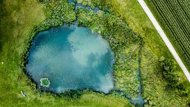 Transforming Backyards into Serene Sanctuaries with Custom Ponds and Waterfalls