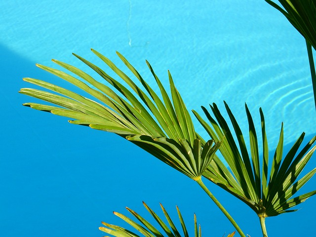Elevate Your Backyard Oasis: A Guide to Premium Pool Decking Solutions