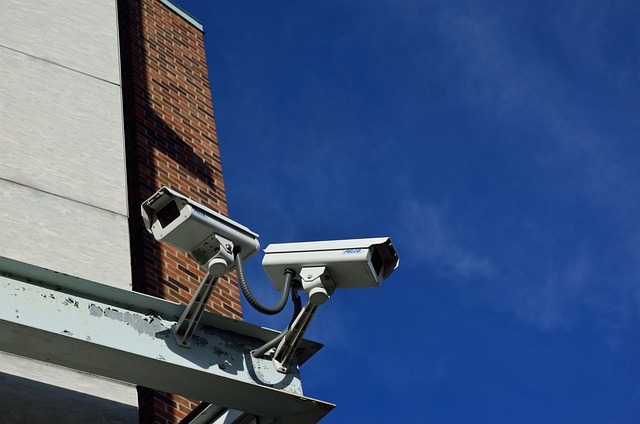 security, community security