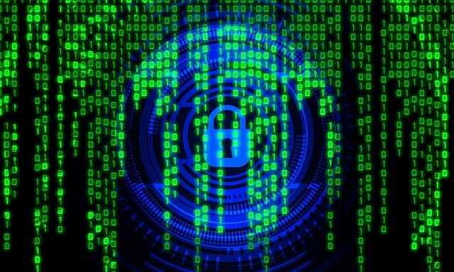 security, community security