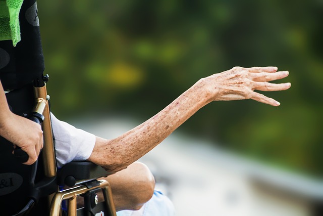 senior, elderly