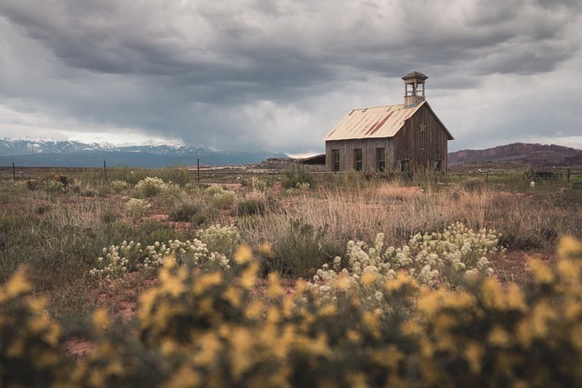 Storm-Proofing Your Home: A Comprehensive Guide to Disaster-Resistant Improvements for Enhanced Safety