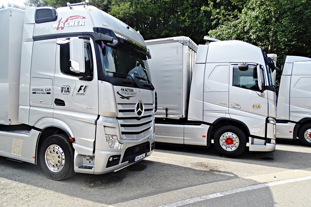 truck, trucking, truck driver