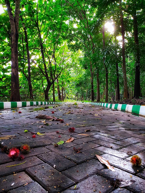 walkway, pathway
