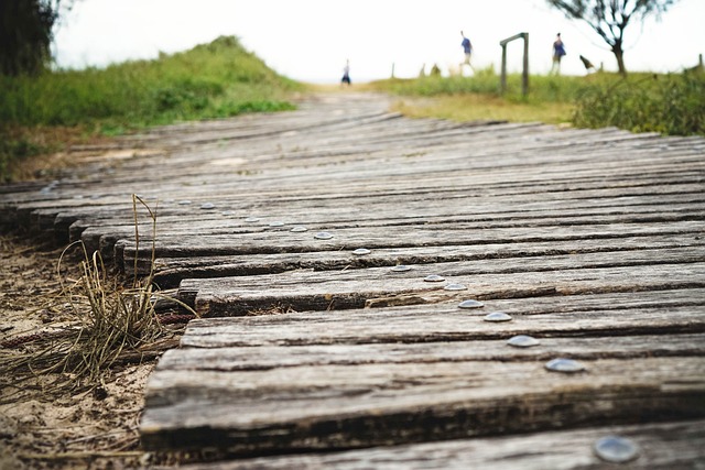 walkway, pathway
