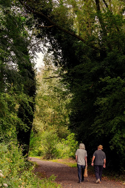walkway-pathway-640x480-47885438.jpeg