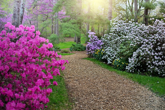 walkway, pathway