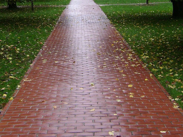 walkway, pathway
