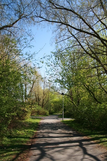 walkway, pathway