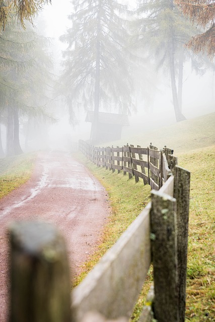 walkway, pathway