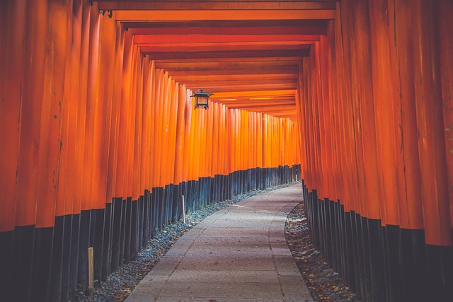 walkway, pathway