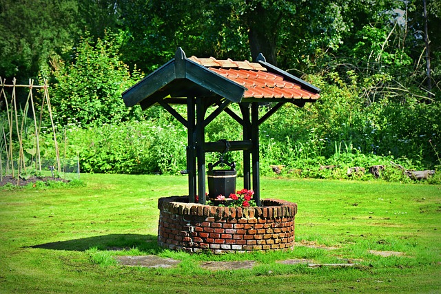 wellness center