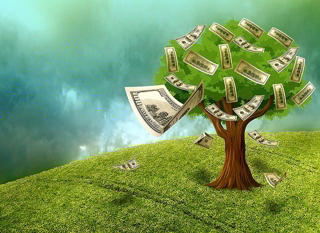 asset, wealth, properties, inheritance, will and testament
