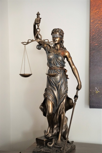 business license, law, lawyer, business, company