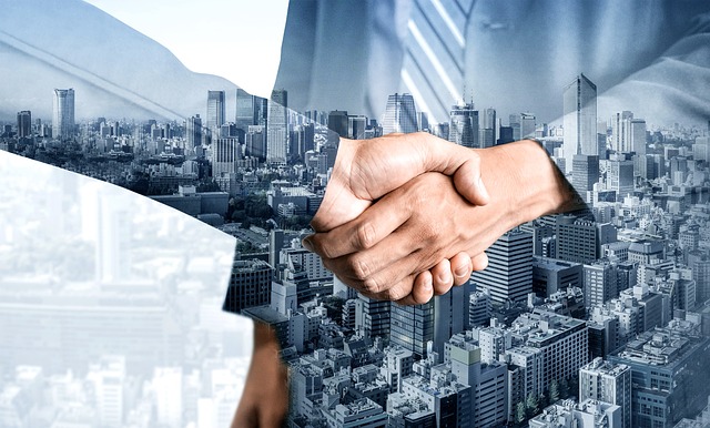 business license, law, lawyer, business, company