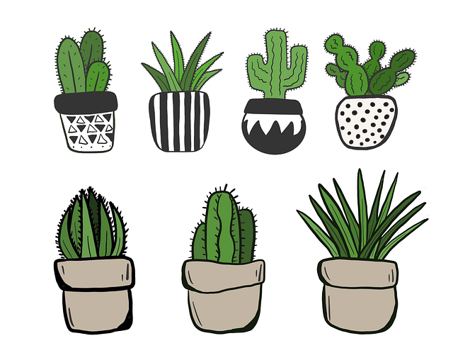 garden-640x480-94970513.png