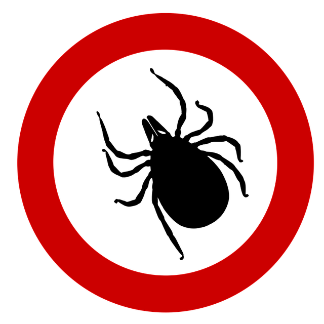 npressfetimg-411.png